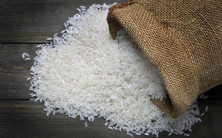 شناسایی و پلمب کارگاه بسته‌بندی برنج تقلبی در شیراز/ ۵۰ تن برنج ضبط شد