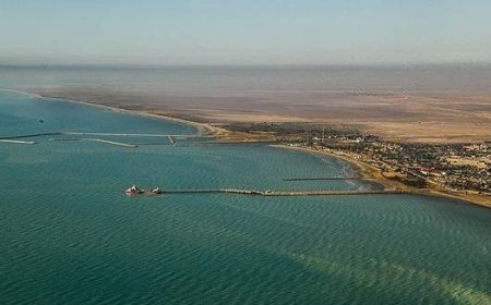 واکنش سازمان محیط‌ زیست به شایعه انتشار آلودگی نفتی در اطراف جزیره خارک