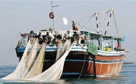 استاندار بوشهر: راهکار جایگزین برای معیشت ملوانان اتخاذ شود
