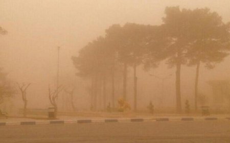 وزش باد و خیزش گردوخاک در فارس