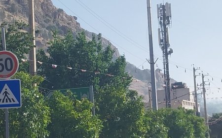 آتش سوزی در دامنه کوه بلوار بوستان شیراز