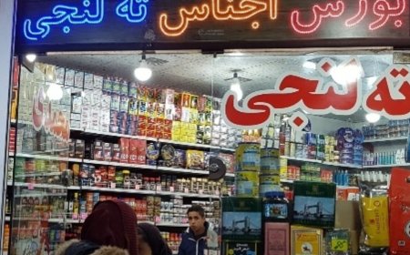 نیمی از سهم واردات کولبری و ته لنجی کشور مربوط به بوشهر است