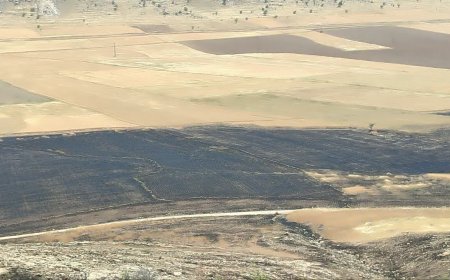 آتش‌سوزی در مزارع کازرون؛ ۲۰ هکتار گندم خاکستر شد
