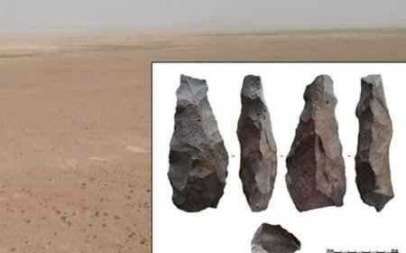 نمایش ردپای کهن‌ترین سکونتگاه شمال خلیج‌فارس در هفته میراث فرهنگی