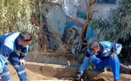 شناسایی ۱۶ هزار انشعاب غیرمجاز در کهگیلویه و بویراحمد