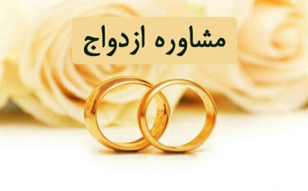 برگزاری ۳۷ هزار جلسه مشاوره ازدواج برای زوج‌های جوان فارس در سال ۱۴۰۴