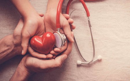 organ dination