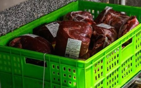 کشف ۶ تُن انواع گوشت احتکار شده در زرقان فارس