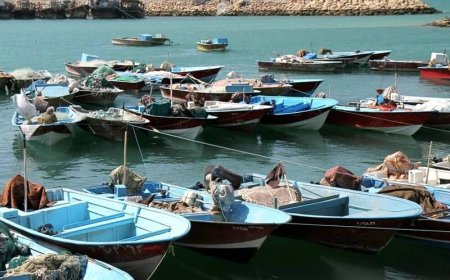شناورهای سبک و صیادی به سمت بنادر جنوب و کشورهای حاشیه خلیج‌فارس نروند