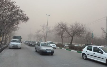 وزش باد و خیزش گرد و خاک در بوشهر تداوم دارد