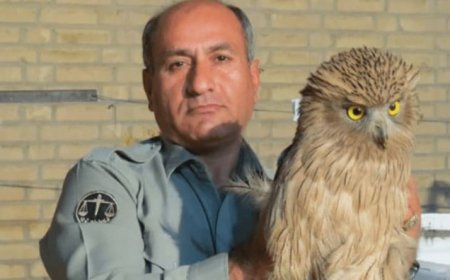 شهادت محیط‌بان خائیز کهگیلویه رسماً تأیید شد