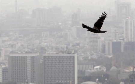 هزینه ساخت هر متر مسکن اعلام شد/ وام نهضت ملی مسکن ۲ برابر می‌شود؟