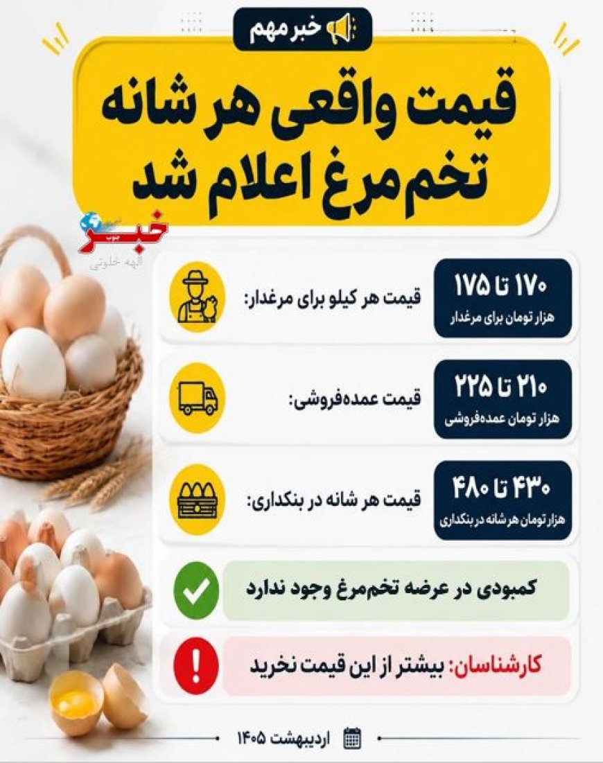 قیمت واقعی هر شانه تخم‌مرغ اعلام شد