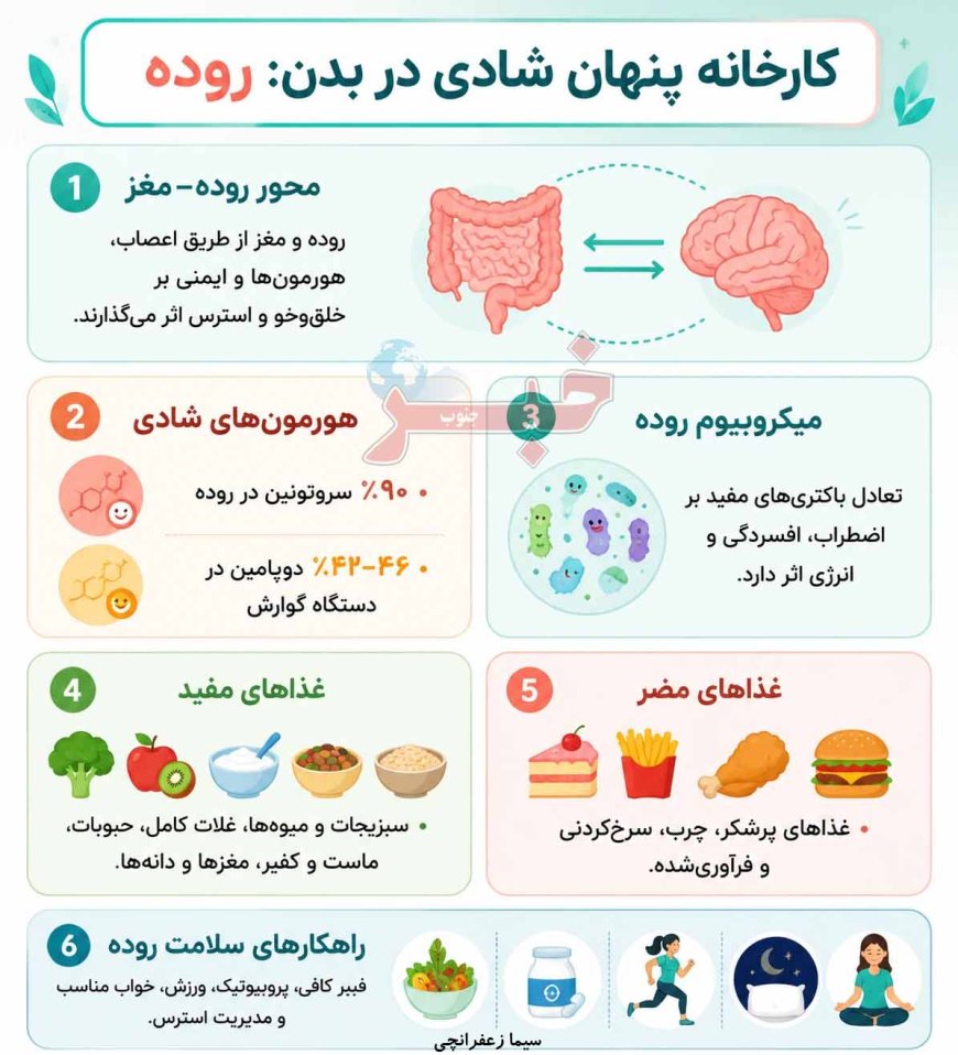 نقش شگفت‌انگیز روده در سلامت روان