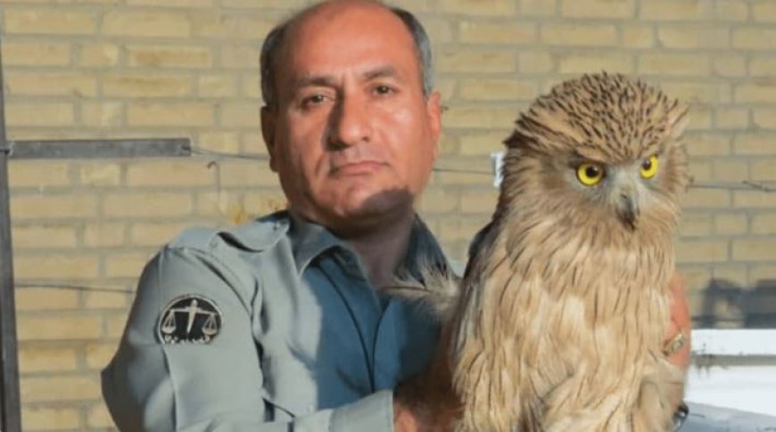 شهادت محیط‌بان خائیز کهگیلویه رسماً تأیید شد