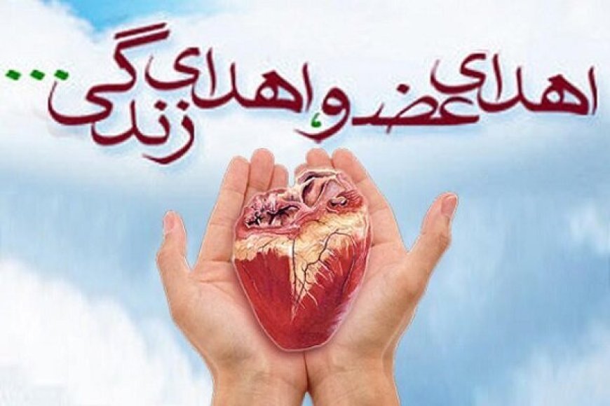اعضای بدن جوان ۱۹ ساله فیروزآبادی نجات‌بخش بیماران شد