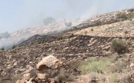 آتش سوزی در شهر جم بوشهر بر اثر گرما