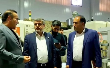 بازدید دادستان یاسوج از دو واحد تولیدکننده مواد اولیه