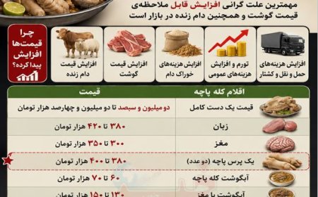 قیمت کله پاچه باورنکردنی شد/ رییس اتحادیه طباخان: قیمت فعلی کله پاچه نه عجیب است نه دور از انتظار
