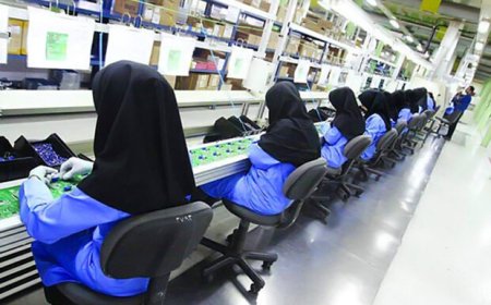زنان ۳۷ درصد متقاضیان مجوزهای کسب‌ و کار فارس را تشکیل دادند