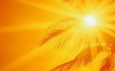 اوج گیری گرما در استان بوشهر؛ دما به ۴۷ درجه رسید