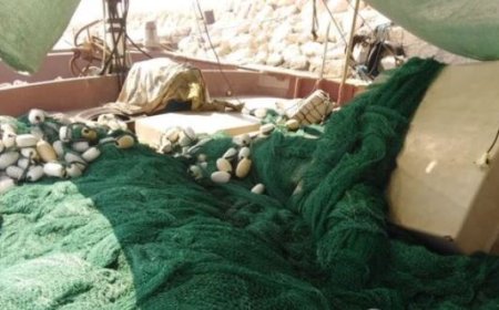 ادوات ممنوعه صید در اسکله‌های جنوبی استان بوشهر کشف شد