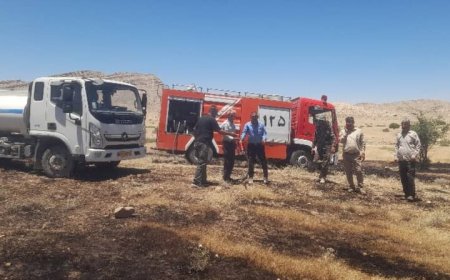 آتش‌سوزی مراتع پشت‌پر دشتستان مهار شد