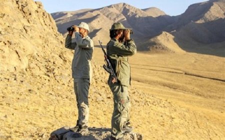 طبیعت بی‌پناه در زاگرس؛وقتی هر محیط‌بان باید از ۴هزار هکتار محافظت کند