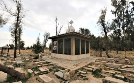آتش‌سوزی گورستان تاریخی دارالسلام حادثه گسترده‌ای نبود/ آسیبی به قبور وارد نشد