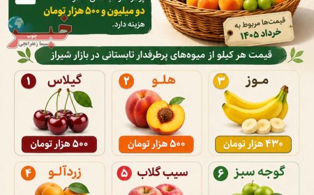خرید یک سبد میوه تابستانی در شیراز چقدر آب می‌خورد؟