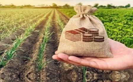 بوشهر در جذب اعتبارات منابع طبیعی کشور اول شد