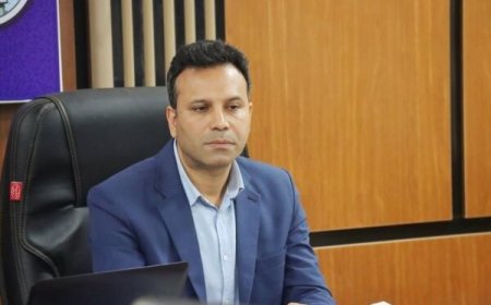 ۲۲۹ میلیارد تومان تسهیلات مشاغل خانگی در بوشهر پرداخت شد