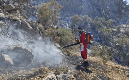 مهار آتش‌سوزی در پناهگاه حیات‌وحش بختگان پس از ۶ ساعت عملیات