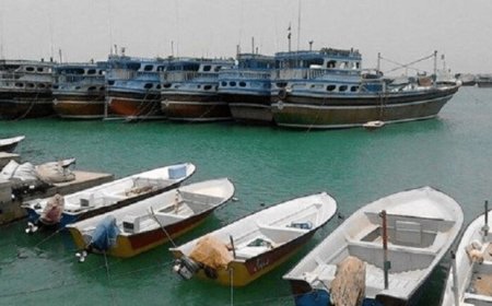 سرشماری شناورهای صیادی در بوشهر آغاز شد