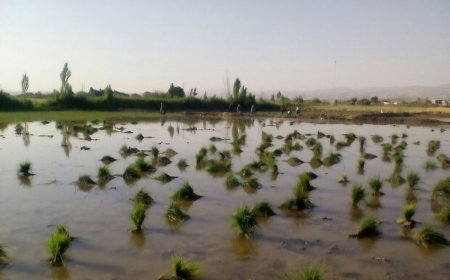 مصوبه جدید کارگروه کم آبی فارس؛ انسداد سریع‌تر چاه‌های غیرمجاز