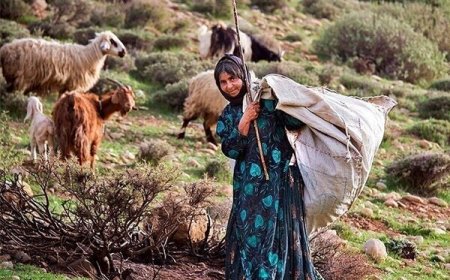توزیع عادلانه خدمات میان عشایر ضروری است