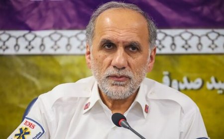 ۲ نفر از شهدای کادر درمان زنان باردار بودند