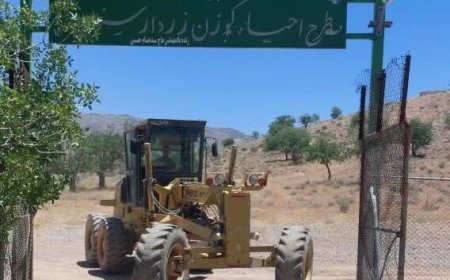 مرمت ۱۰ کیلومتر آتش‌بر برای حفاظت از زیستگاه گوزن زرد ارسنجان