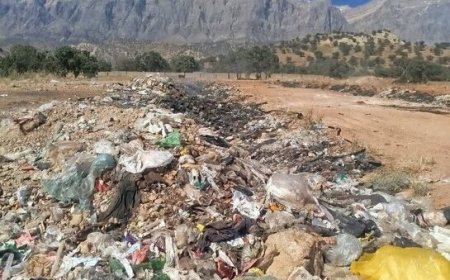 ۵ مسئول محلی دنا به دلیل تخلفات زیست‌محیطی به دستگاه قضایی معرفی شدند