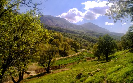 پایش علمی ۳۰ هکتار از زاگرس خوزستان برای احیای پوشش گیاهی