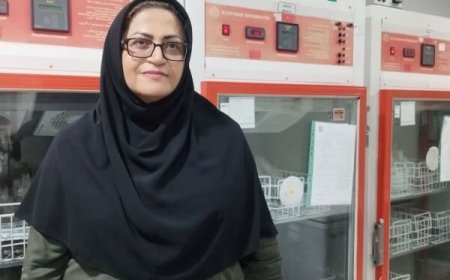 ذخایر استراتژیک خون در بوشهر به ۸ روز رسید