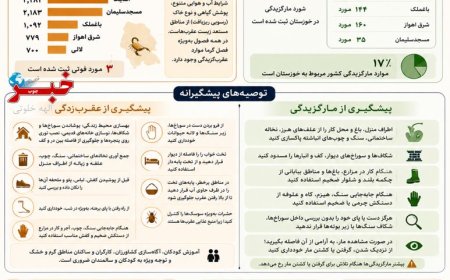 خوزستان رکورددار عقرب‌زدگی کشور