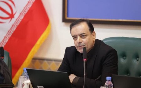 شهردار بوشهر استیضاح و برکنار شد