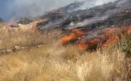 آتش سوزی در ارتفاعات بلوار جمهوری شیراز