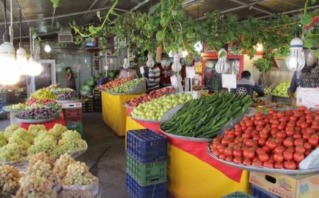 جمعه‌بازار بوشهر ساماندهی می‌شود؛ پارکینگ ۶ هکتاری و غرفه‌های جدید در راه است