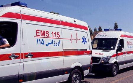 اورژانس استان بوشهر نوسازی می شود؛ تامین ۲۰ دستگاه آمبولانس جدید