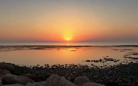 تداوم شرجی و غبار در بوشهر/ خلیج‌فارس آخر هفته مواج می‌شود
