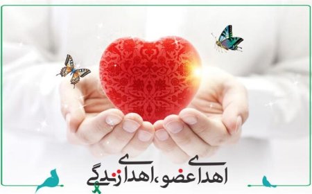 اهدای اعضای بدن نوجوان وراوی، زندگی‌بخش بیماران نیازمند شد