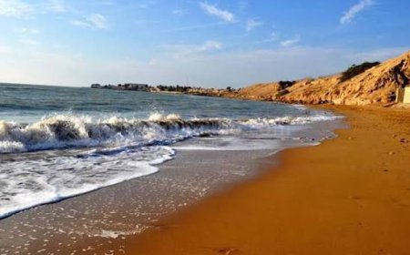 افزایش دما و مواج شدن سواحل بوشهر تا پایان هفته