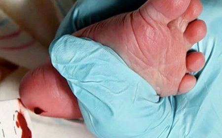 ۱۲هزار نوزاد بوشهری تحت پوشش غربالگری تروئید قرار گرفتند